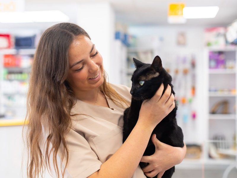 esterilitzacion-gato